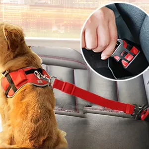 Honden Autogordel Harnas