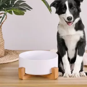 Keramische Hondenkom
