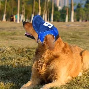 Hondenpet Baseball Pet Cap met Ooropeningen