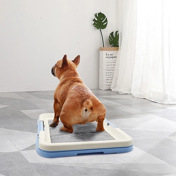 dog potty training, dog litter box, dog toilet, indoor dog potty, dog bathrooms, dog pad holder, potty pad holder