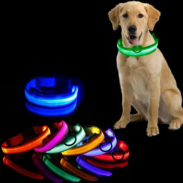 LED Licht Hondenhalsband Oplaadbaar Gloeiend Knipperend