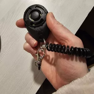 Ontvangen draagbare hondentrainingsclicker van klant D****n.