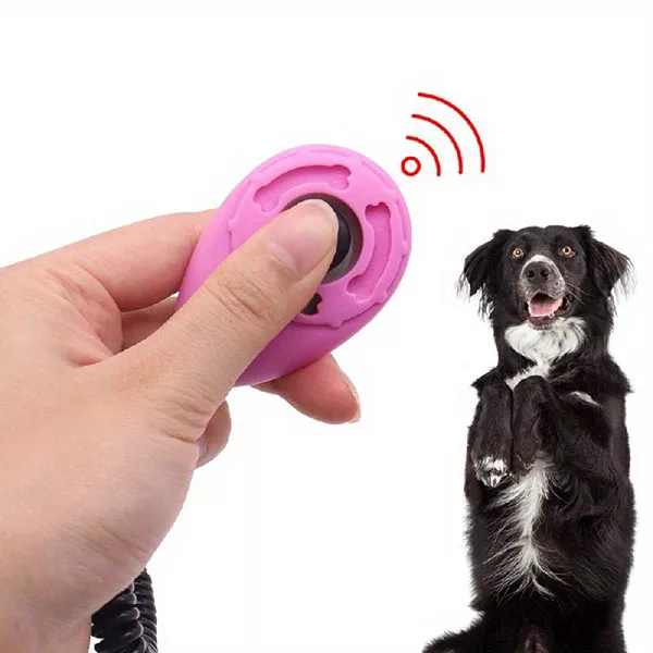 dog training clicker