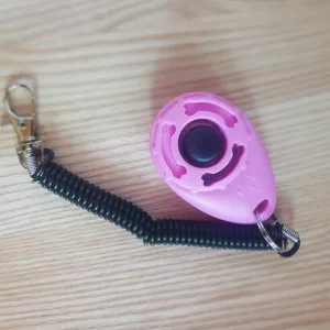 Ontvangen draagbare hondentrainingsclicker van klant R****l.