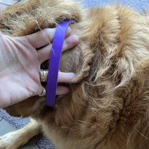 Ontvangen 3 stuks kalmerende hondenhalsband van klant H***e