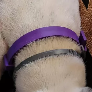 Ontvangen 3 stuks Honden Kalmerende Feromoon Halsband van klant K***n