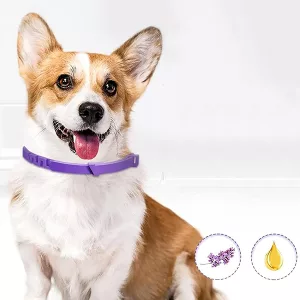 dog calming collar, pheromone dog collar, calming collar
