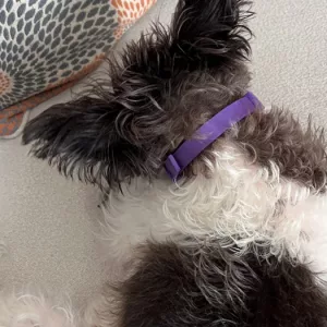 Ontvangen 3 stuks kalmerende hondenhalsband met feromonen van klant N****y