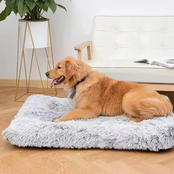 dog bed, washable dog bed, dog mattress, plush dog bed, warming dog bed, rectangle dog bed, dog cushion