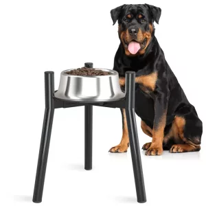 stand for dog bowl, elevated dog bowl, raised dog bowl, adjustable dog bowl stand