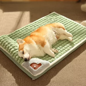 orthopaedic dog bed, dog bed with headrest
