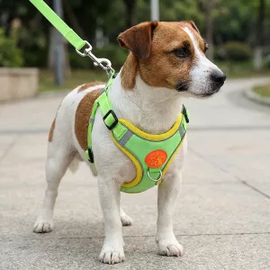 dog harness, dog harness leash set, dog vest harness, dog harness leash,