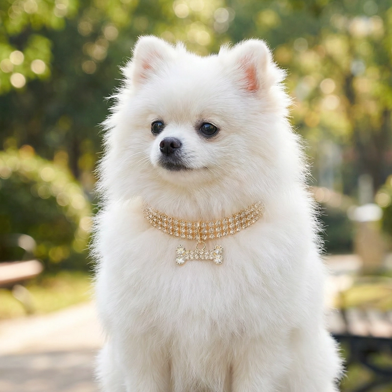 dog necklace, dog rhinestone collar , dog rhinestone necklace, dog necklace collar